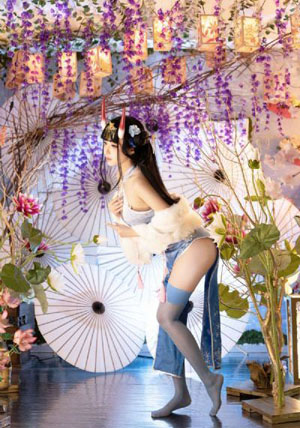 叛逆的鲁鲁修