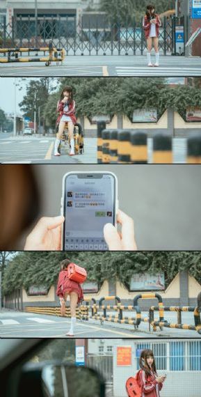 拔萝卜高清免费观看全集动漫